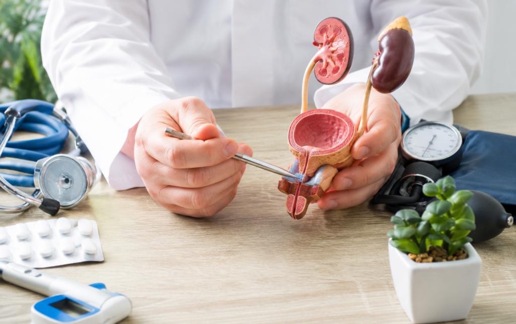 Reconstructive-Urology