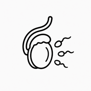 male infertility andrology