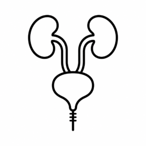Reconstructive-Urology