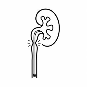 (PUJ) Obstruction-Treatment
