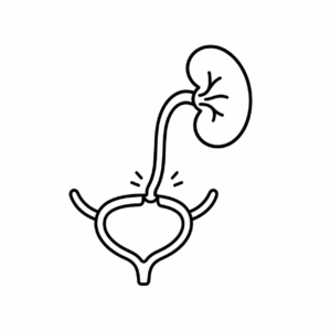 (Renal) Transplant